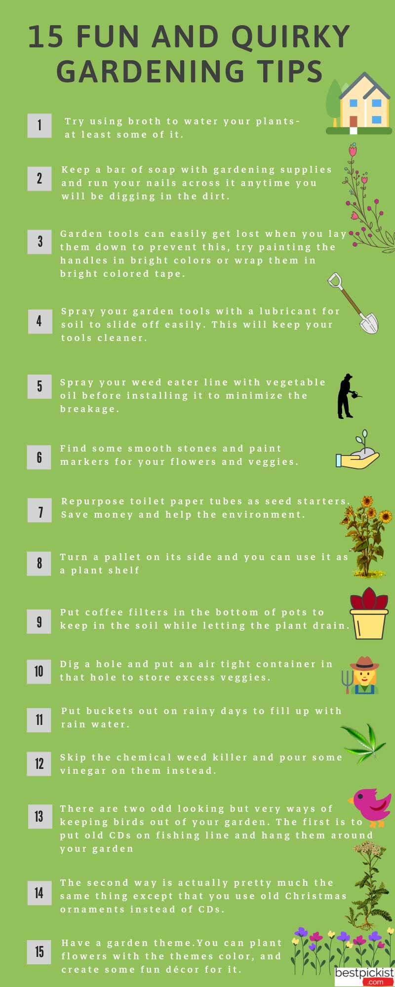 gardening tips for the beginner